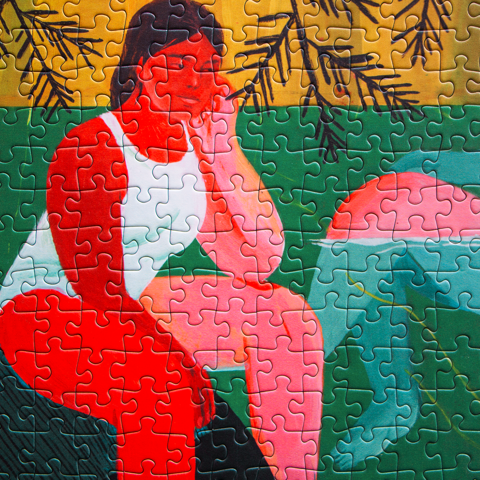 THE LAKE de Celia Jacobs