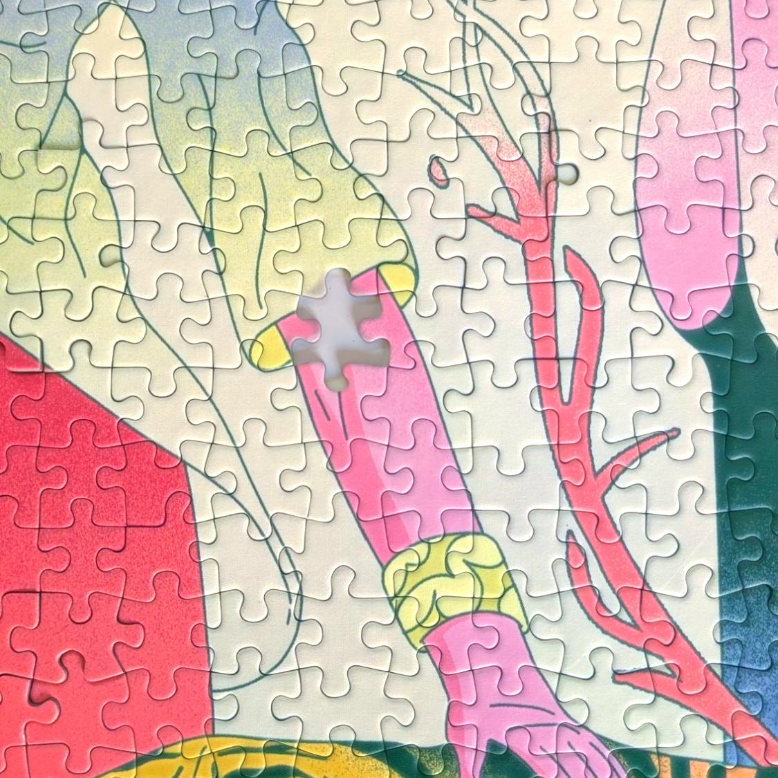 TIGRESA by Nahuel Bardi – close-up of the assembled jigsaw puzzle with one missing piece